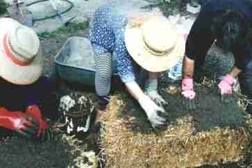 making-steel-fibre-cement-pond as a small community. Sharing information, skills and supporting one another.